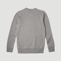 All Year Crew Sweatshirt | Silver Melee -A
