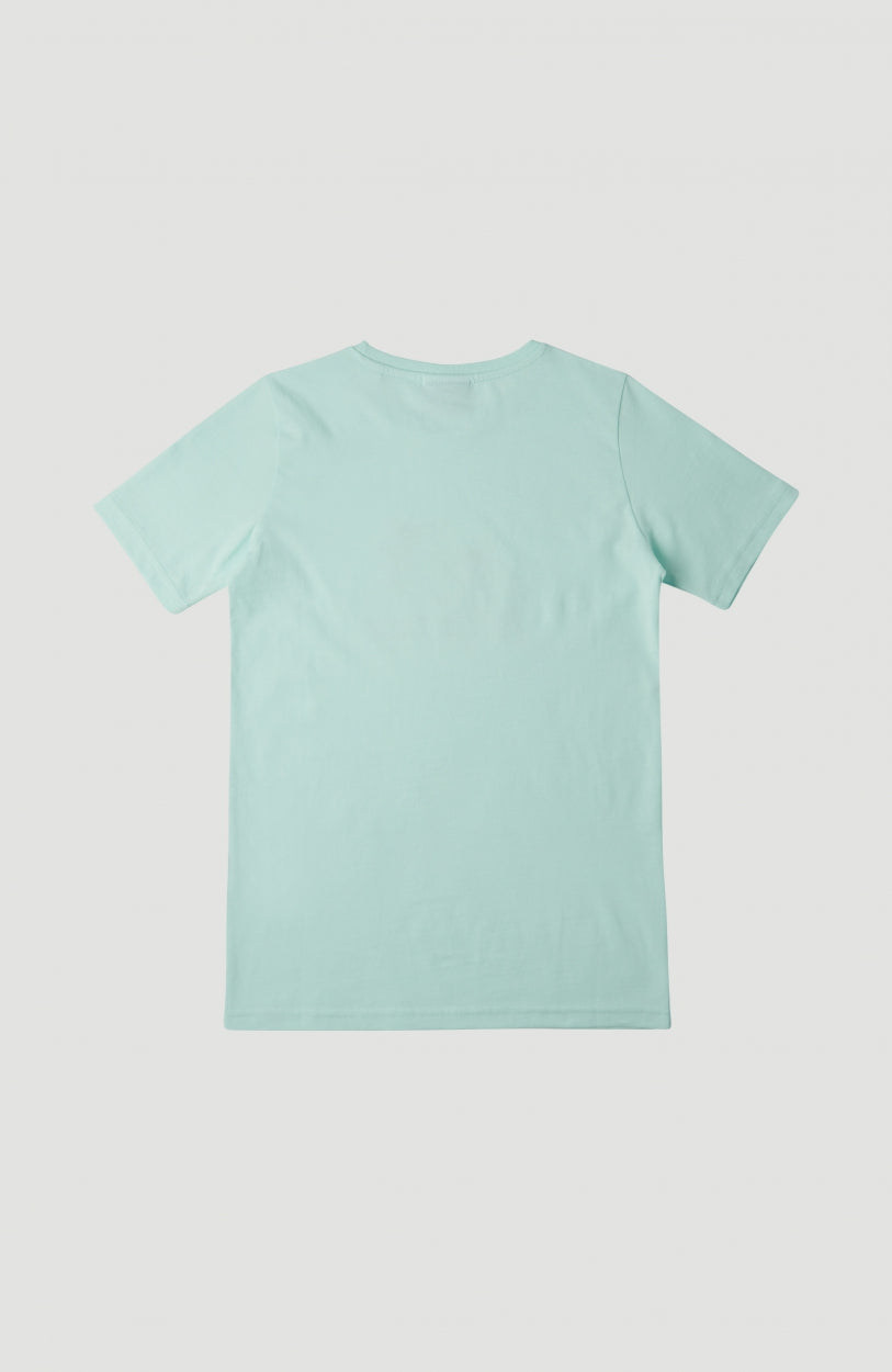 California Beach T-Shirt | Bluelight