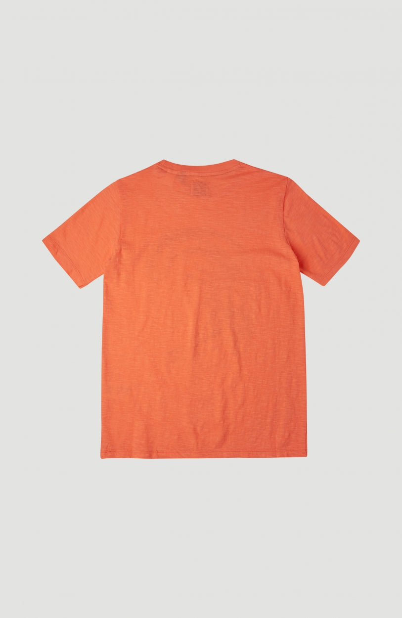 Circle Surfer Shortsleeve T-Shirt | Living Coral -A