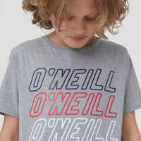 All Year Shortsleeve T-Shirt | Silver Melee -A