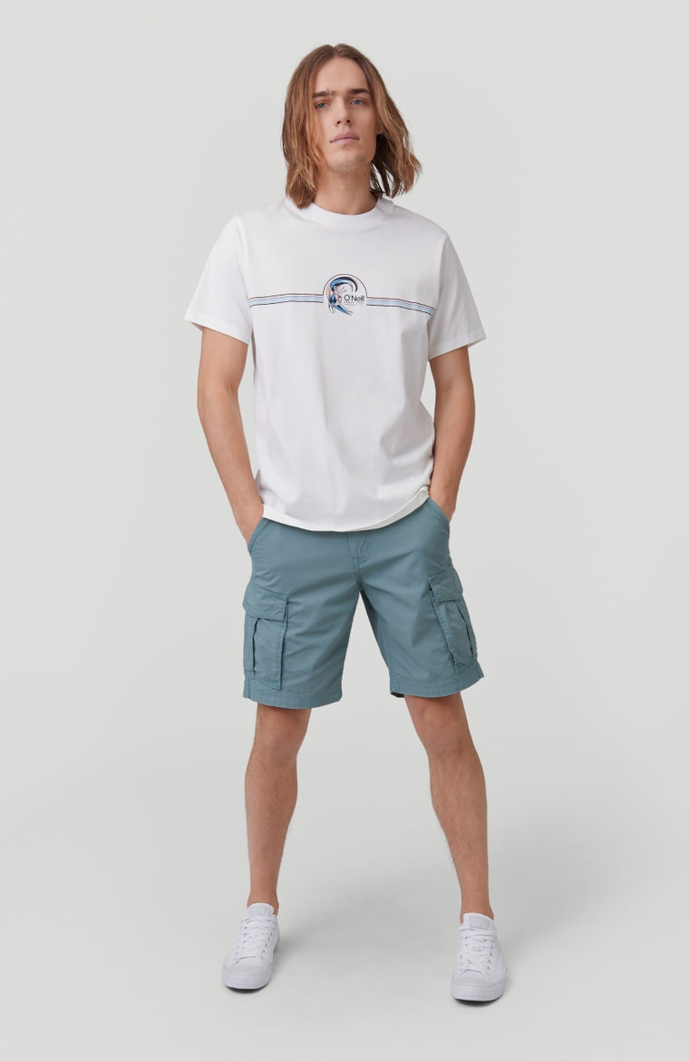Beach Break Cargo Shorts | Arctic