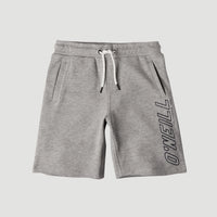 All Year Round Jog Shorts | Silver Melee -A