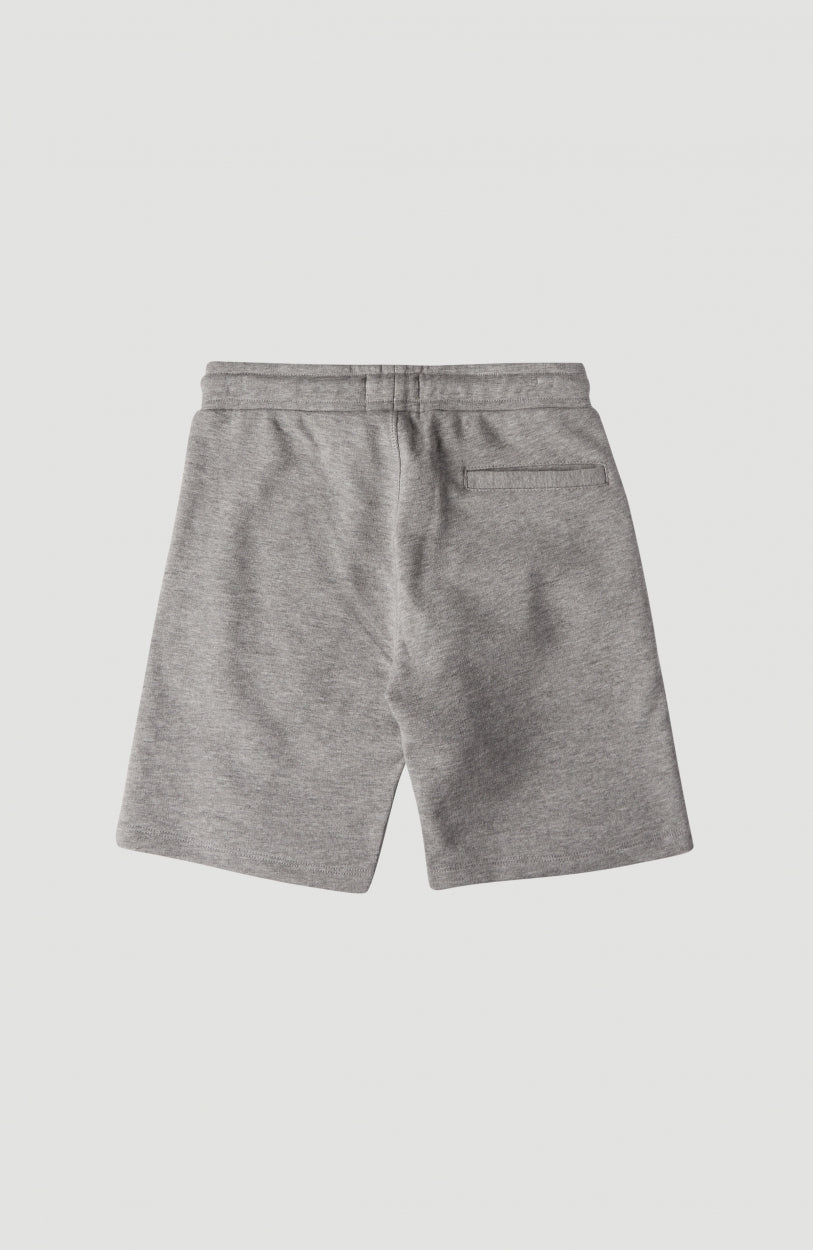 All Year Round Jog Shorts | Silver Melee -A