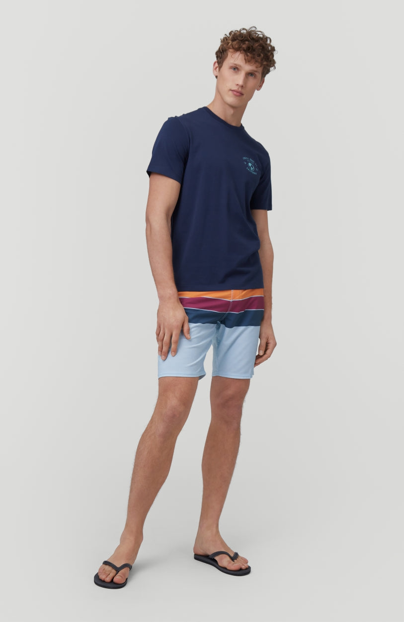 Hyperfreak Heist Boardshort | Blue Print - A