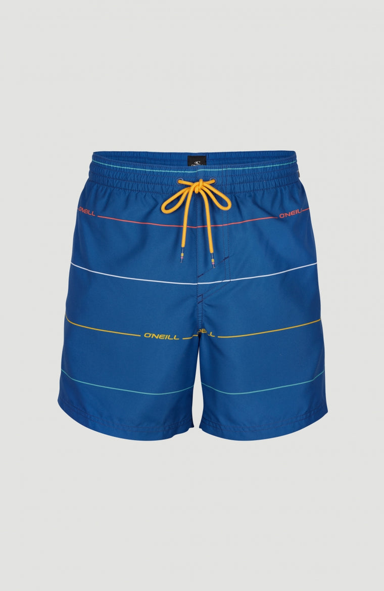 Contourz Shorts | Blue Print 1