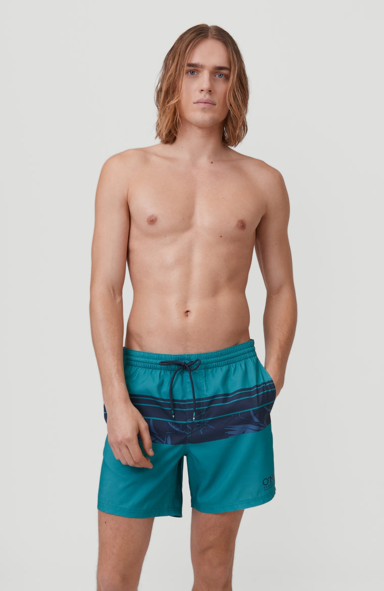 Cali Stripe Shorts | Green With Blue