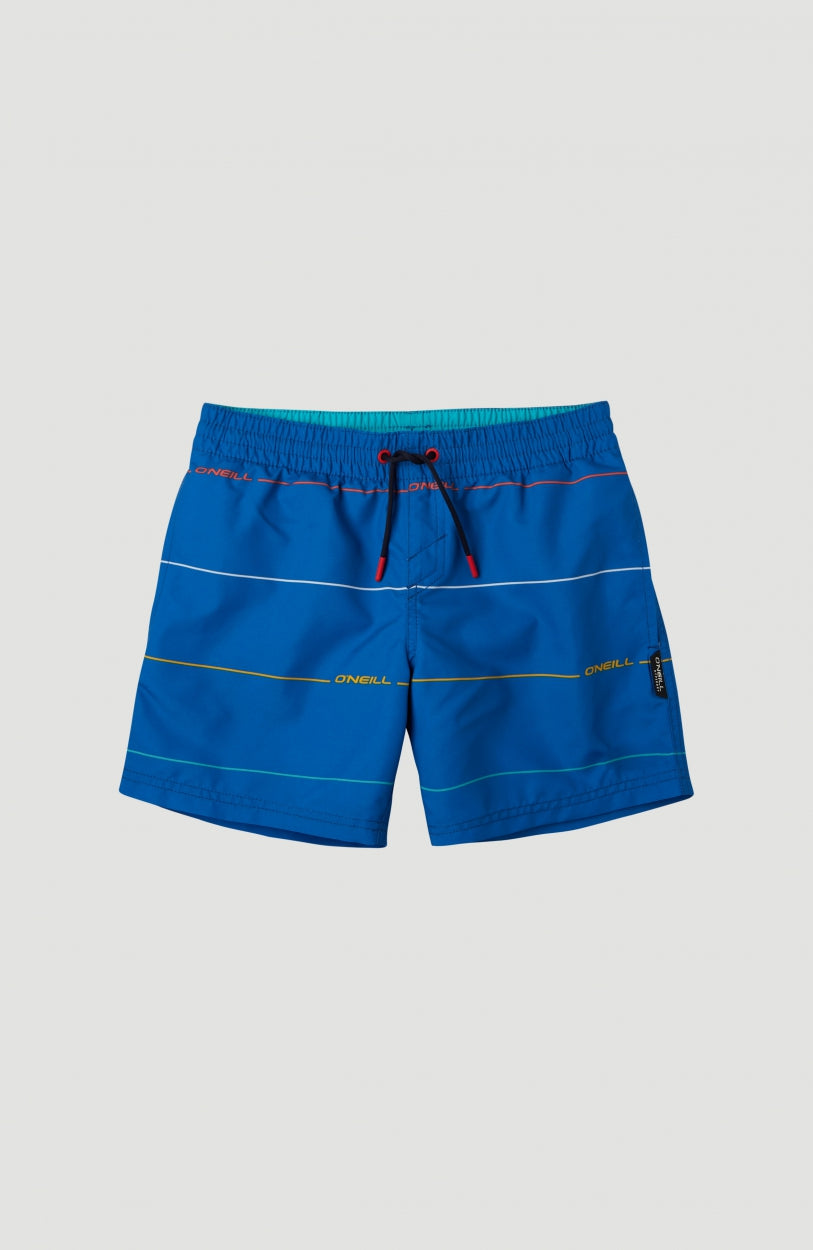 Contourz Shorts | Blue Print 1