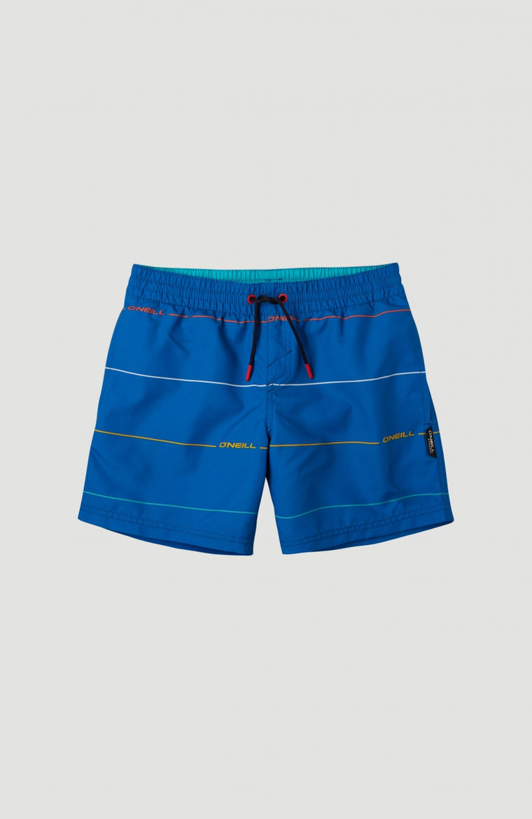 Contourz Shorts | Blue Print 1