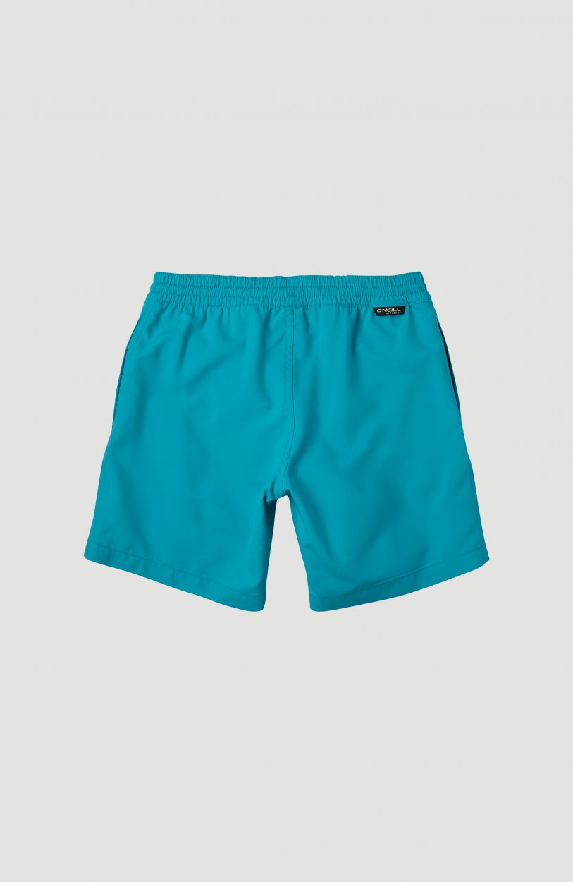 Cali Shorts | Aquarius