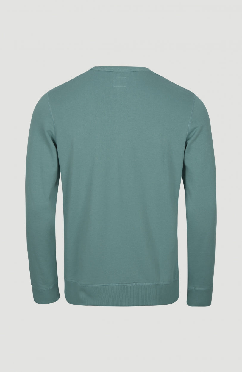 Cal Logo Sweatshirt | Arctic