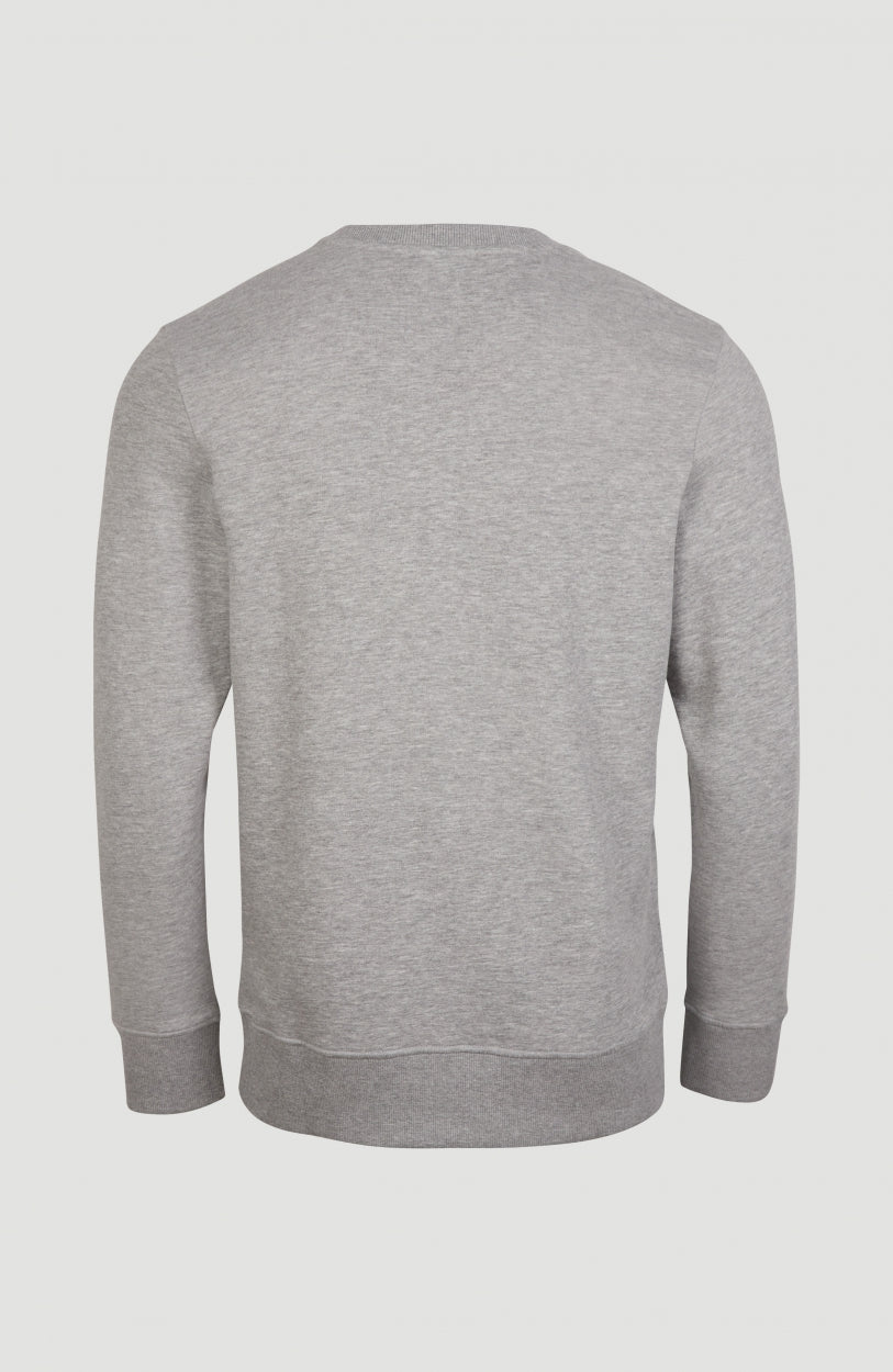 Cube Crew Sweatshirt | Silver Melee -A