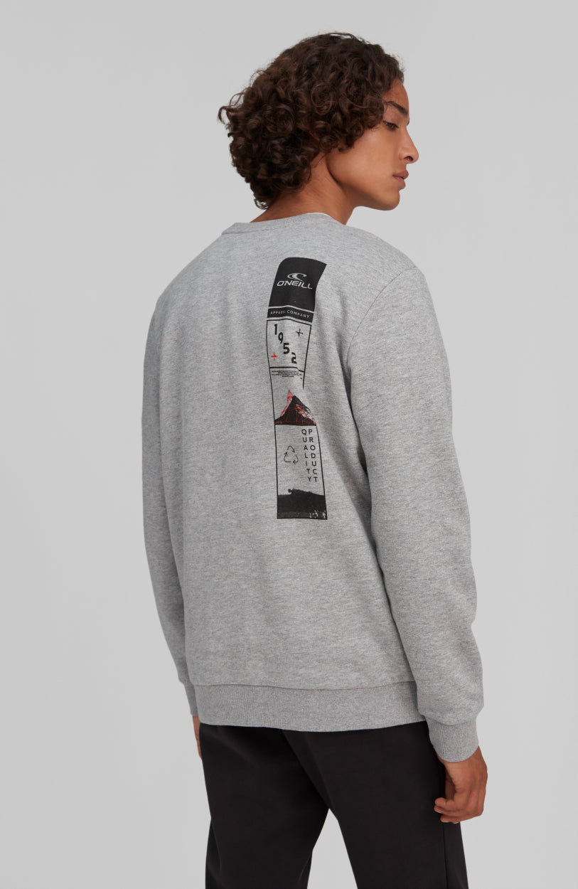 Base Camp Sweatshirt | Silver Melee -A