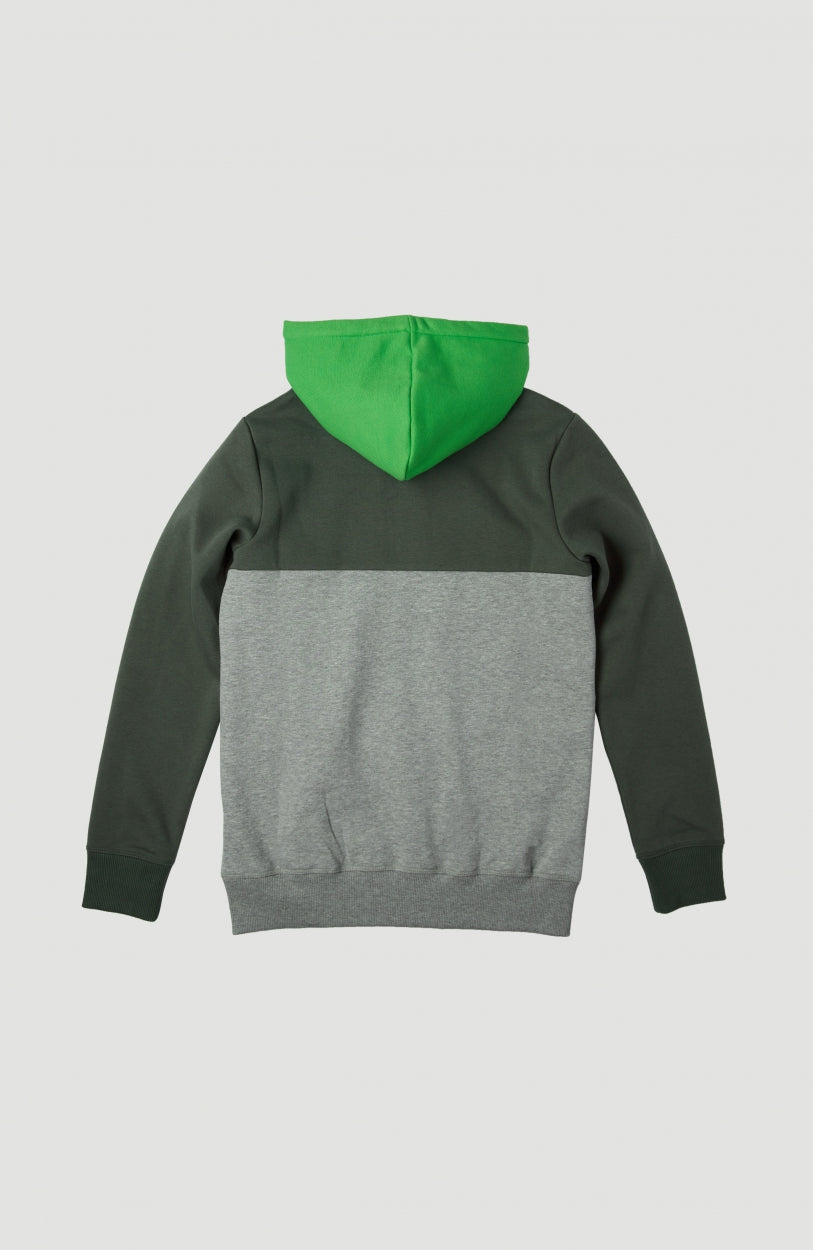 Blocked Anorak Hoodie | Forest Night -A