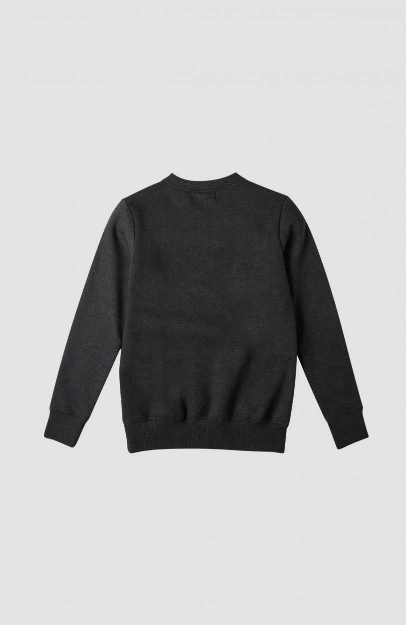 Circle Surfer Crew Sweatshirt | Dark Grey Melee -A