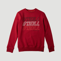 All Year Crew Sweatshirt | Haute Red -A