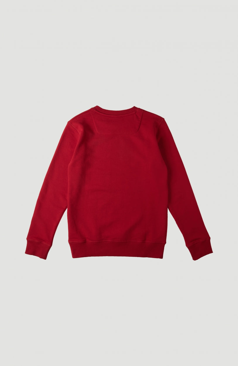 All Year Crew Sweatshirt | Haute Red -A