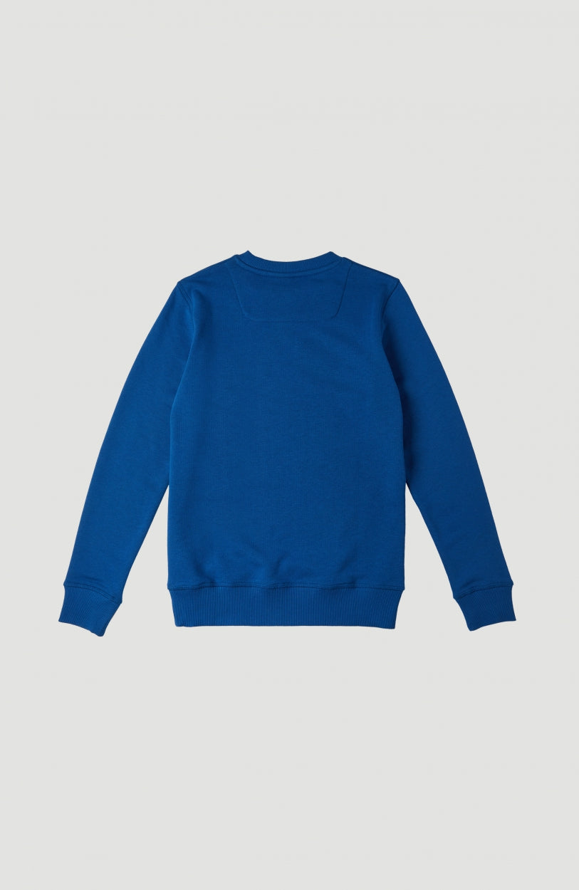 All Year Crew Sweatshirt | Darkwater Blue Option B
