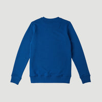 All Year Crew Sweatshirt | Darkwater Blue Option B