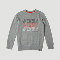All Year Crew Sweatshirt | Silver Melee -A