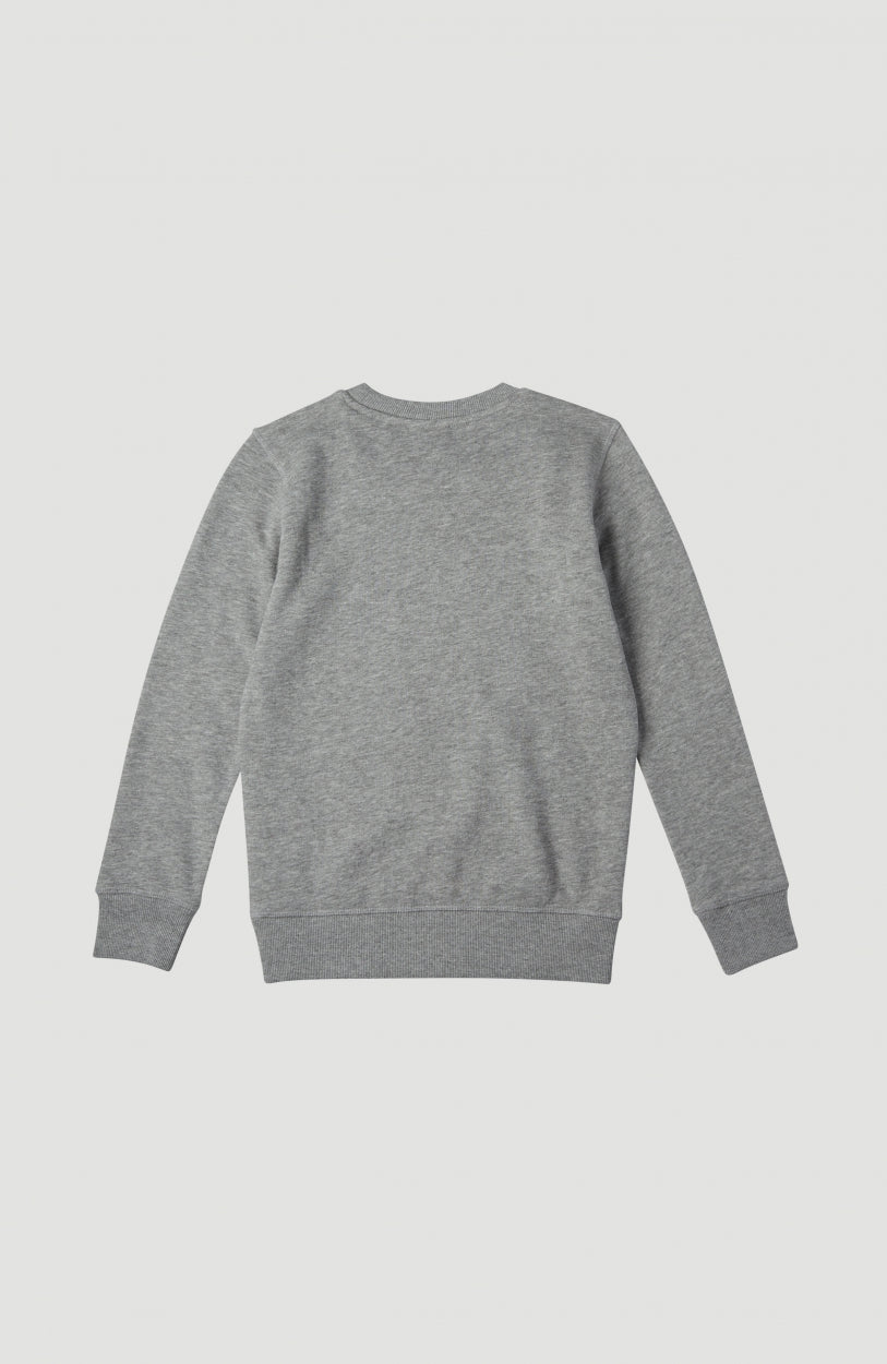 All Year Crew Sweatshirt | Silver Melee -A