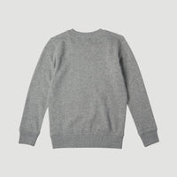 All Year Crew Sweatshirt | Silver Melee -A
