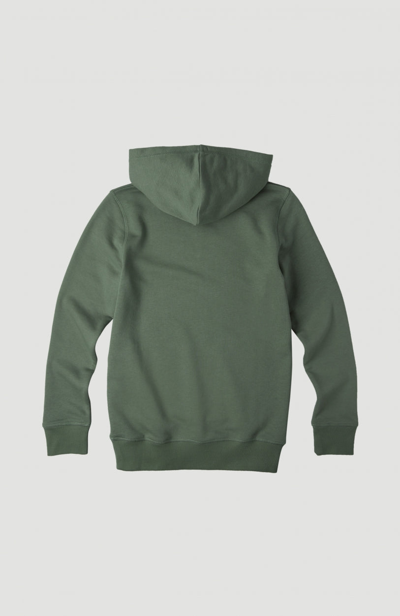 All Year Sweatshirt Hoodie | Agave Green