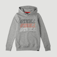 All Year Sweatshirt Hoodie | Silver Melee -A
