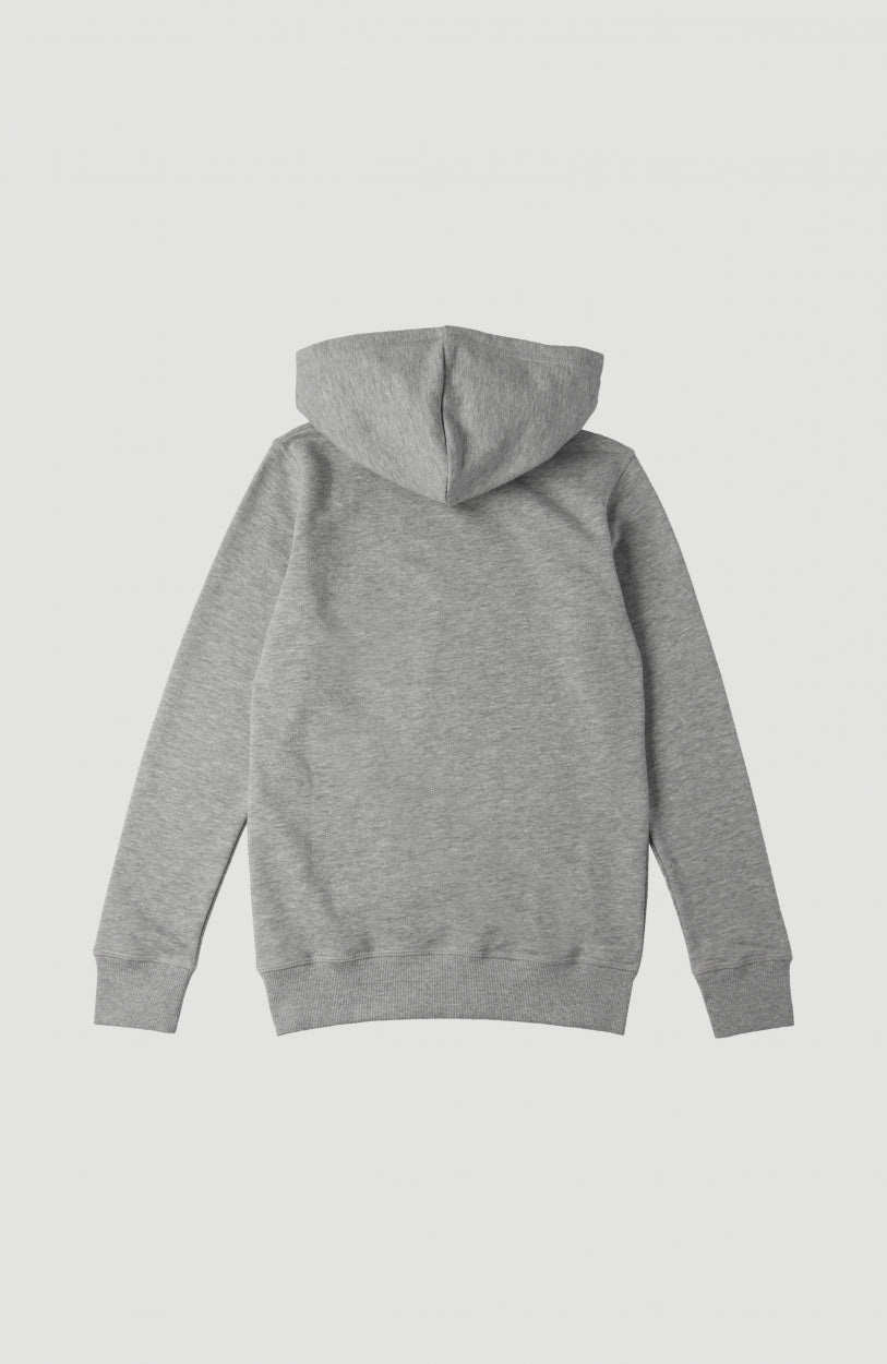 All Year Sweatshirt Hoodie | Silver Melee -A