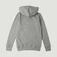 All Year Sweatshirt Hoodie | Silver Melee -A