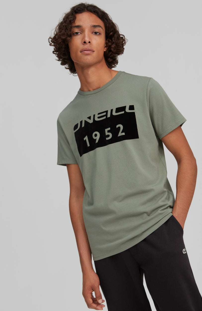 Block T-Shirt | Agave Green