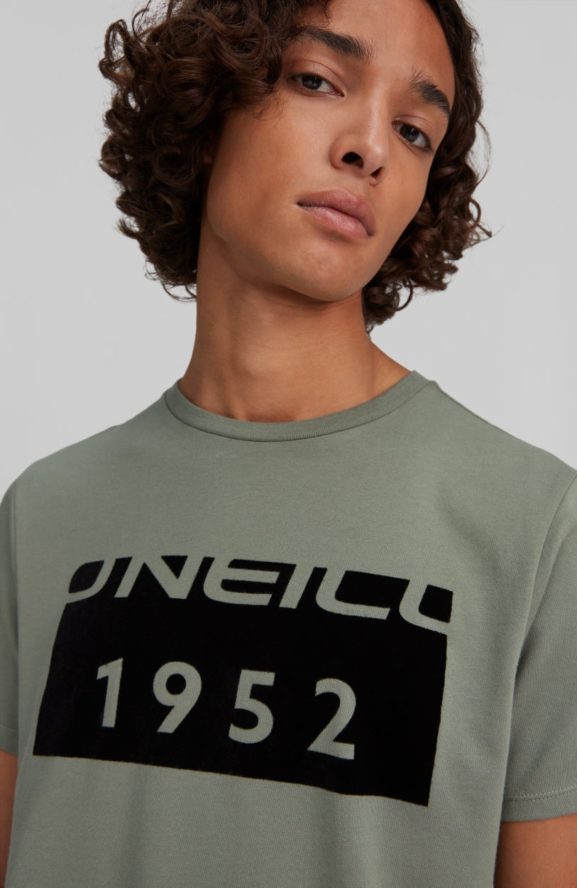 Block T-Shirt | Agave Green