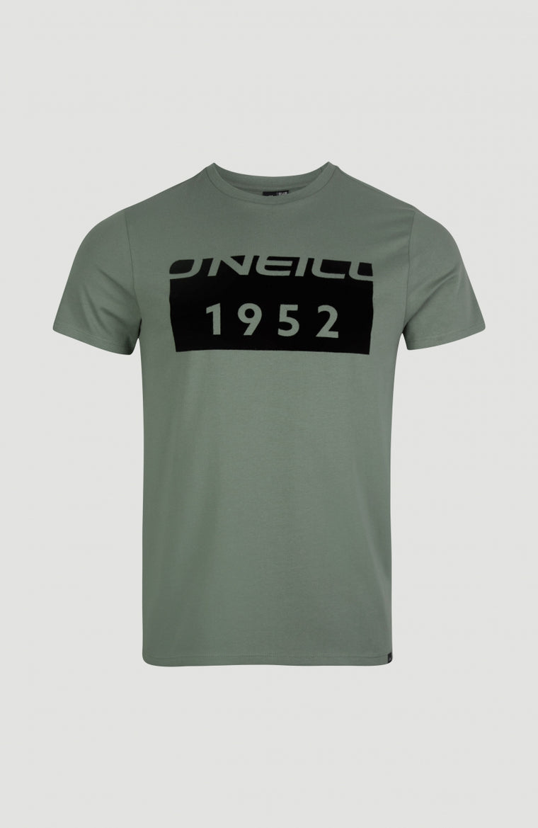 Block T-Shirt | Agave Green