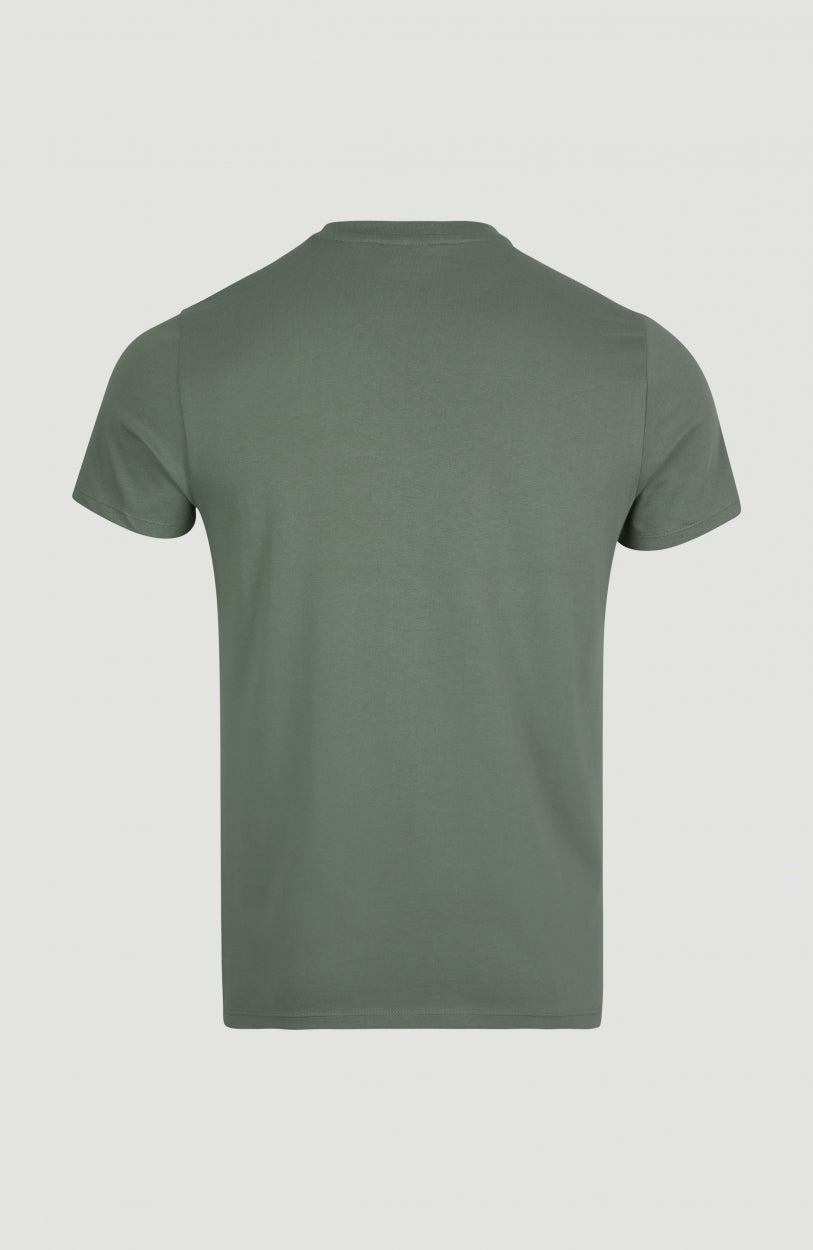 Block T-Shirt | Agave Green