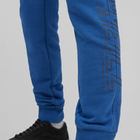 All Year Sweatpants | Darkwater Blue Option B