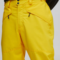 Hammer Snow Pants | Freesia