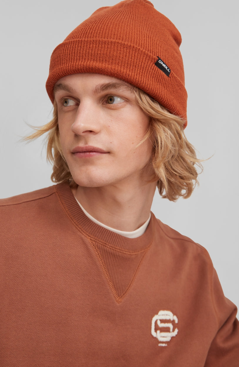 Dolomite Beanie | Bombay Brown -A