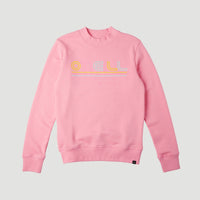 All Year Crew Sweatshirt | Conch Shell