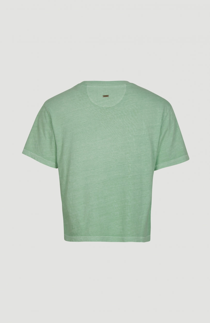 Beach Wash T-Shirt | Frosty Green