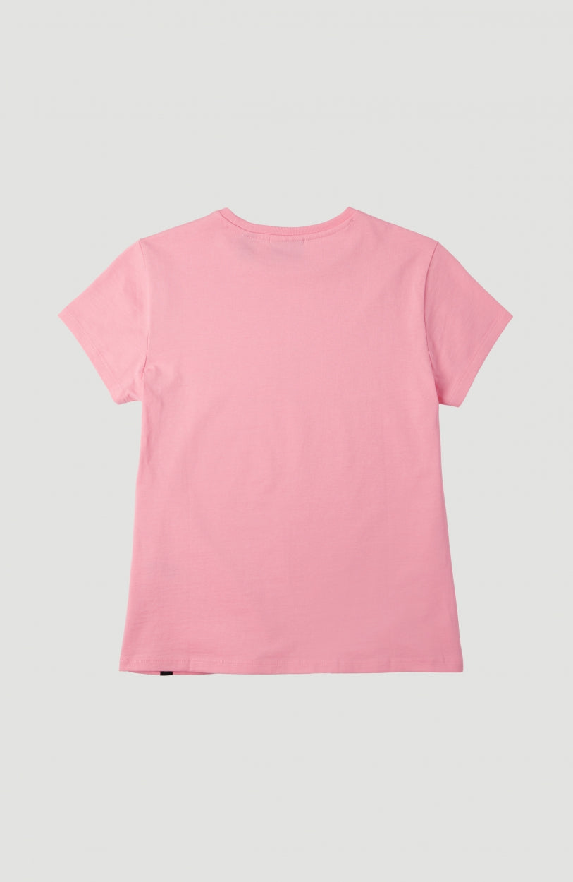 All Year T-Shirt | Conch Shell