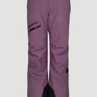 GORE-TEX® Mountain Madness Snow Pants | Berry Conserve