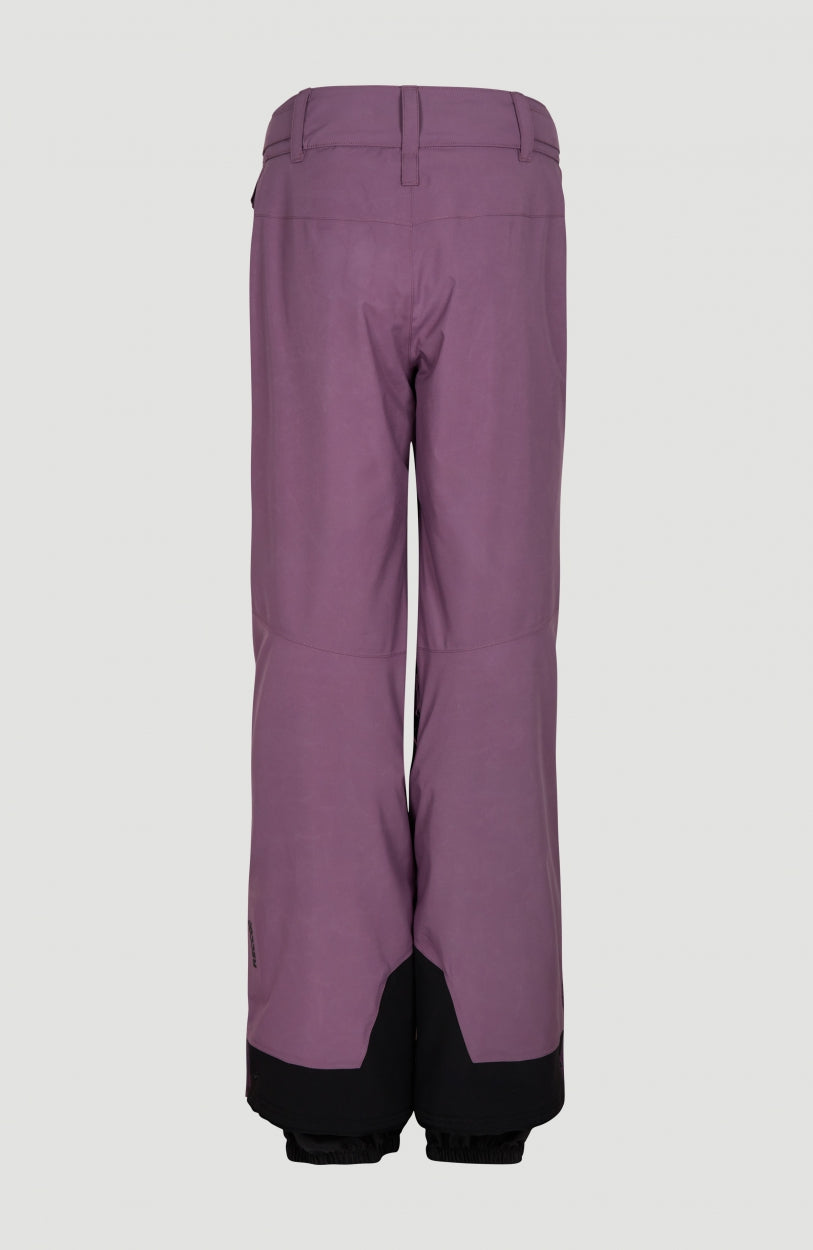 GORE-TEX® Mountain Madness Snow Pants | Berry Conserve