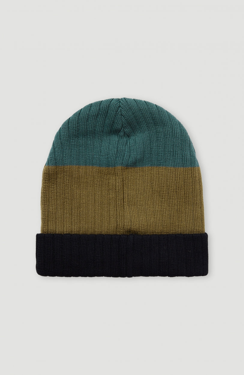 Carbonite Beanie | Balsam Green Colour Block