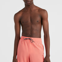 All Day 17'' Hybrid Shorts | Georgia Peach