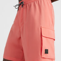 All Day 17'' Hybrid Shorts | Georgia Peach