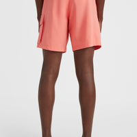 All Day 17'' Hybrid Shorts | Georgia Peach