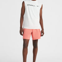 All Day 17'' Hybrid Shorts | Georgia Peach