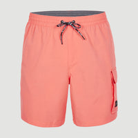 All Day 17'' Hybrid Shorts | Georgia Peach