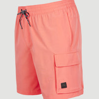 All Day 17'' Hybrid Shorts | Georgia Peach