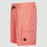 All Day 17'' Hybrid Shorts | Georgia Peach