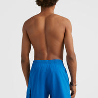 All Day 17'' Hybrid Shorts | Princess Blue